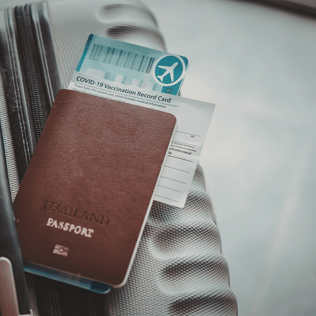 Chirurgie esthétique en Tunisie : pourquoi ça attire autant ?